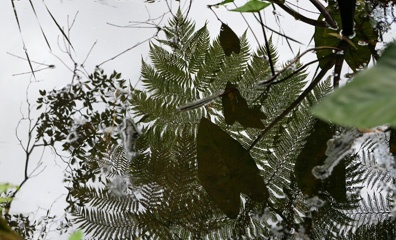 P1010451a.jpg